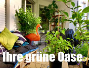 Ob Balkon, Fensterbank oder Urban Gardening: So verwandelst du dein Zuhause in eine grüne Oase (©Foto: iStockKathiHinz)